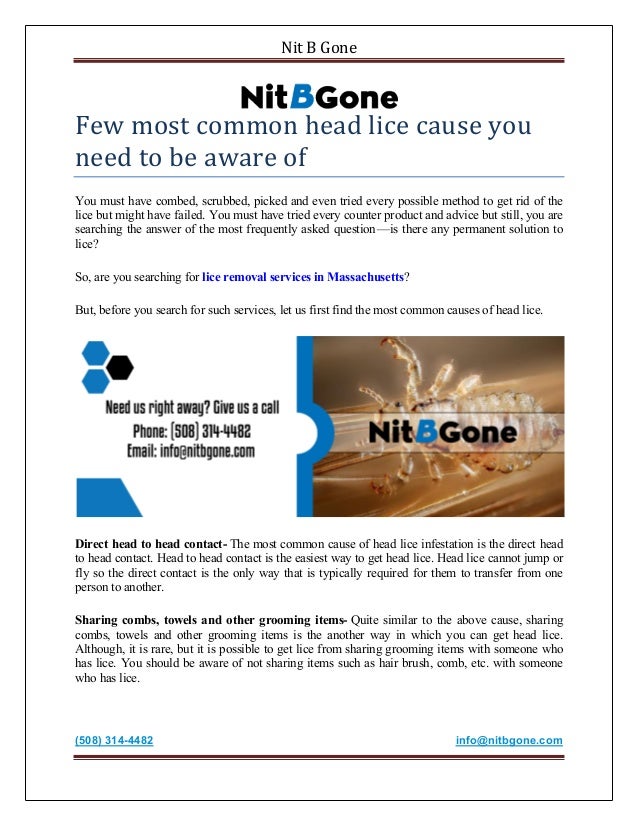 Few Most Common Head Lice Cause You Need To Be Aware Of