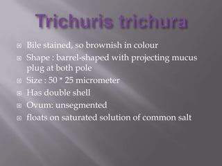 







Bile stained, so brownish in colour
Shape : barrel-shaped with projecting mucus
plug at both pole
Size : 50 * 25 micrometer
Has double shell
Ovum: unsegmented
floats on saturated solution of common salt

 