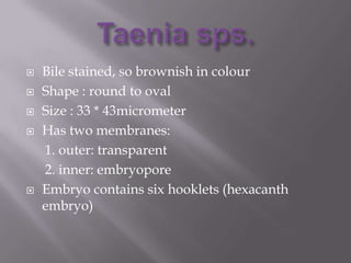 






Bile stained, so brownish in colour
Shape : round to oval
Size : 33 * 43micrometer
Has two membranes:
1. outer: transparent
2. inner: embryopore
Embryo contains six hooklets (hexacanth
embryo)

 