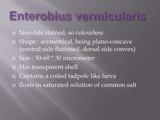 







Non-bile stained, so colourless
Shape : asymetrical, being plano-concave
(ventral side flattened, dorsal side convex)
Size : 50-60 * 30 micrometer
Has transparent shell
Contains a coiled tadpole like larva
floats in saturated solution of common salt

 