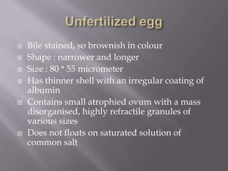 








Bile stained, so brownish in colour
Shape : narrower and longer
Size : 80 * 55 micrometer
Has thinner shell with an irregular coating of
albumin
Contains small atrophied ovum with a mass
disorganised, highly refractile granules of
various sizes
Does not floats on saturated solution of
common salt

 