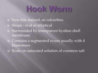 







Non-bile stained, so colourless
Shape : oval or elliptical
Surrounded by transparent hyaline-shell
membrane
Contains a segmented ovum usually with 4
blastomers
floats on saturated solution of common salt

 
