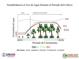 AGRO CLIMATOLOGÍA Y SISTEMAS DE ALERTA TEMPRANA FEWSNET 