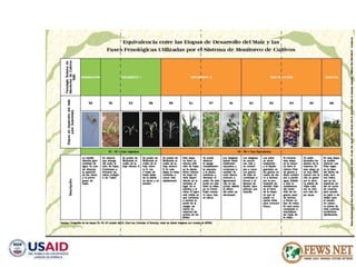 AGRO CLIMATOLOGÍA Y SISTEMAS DE ALERTA TEMPRANA FEWSNET 