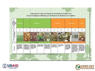 AGRO CLIMATOLOGÍA Y SISTEMAS DE ALERTA TEMPRANA FEWSNET 
