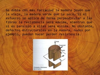 Se dobla con más facilidad la madera joven que
la vieja, la madera verde que la seca. Si el
esfuerzo se aplica de forma perpendicular a las
fibras la resistencia será máxima, mientras que
si es paralelo a ellas será mínima. No obstante,
defectos estructurales en la madera, nudos por
ejemplo, pueden hacer perder resistencia.
 
