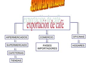 exportación de café HIPERMERCADOS SECTOR EXPORTADOR SUPERMERCADO CAFETERIAS TIENDAS OFICINAS HOGARES COMERCIO PAÍSES IMPORTADORES 