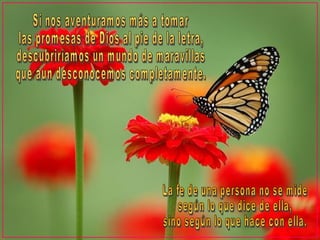 Si nos aventuramos más a tomar  las promesas de Dios al pie de la letra, descubriríamos un mundo de maravillas  que aun desconocemos completamente. La fe de una persona no se mide  según lo que dice de ella,  sino según lo que hace con ella. 