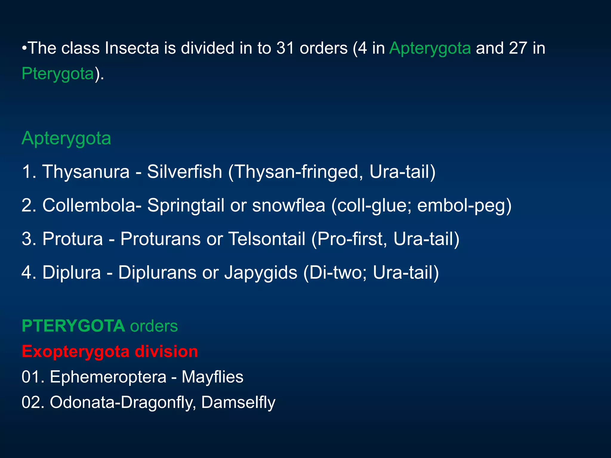 •The class Insecta is divided in to 31 orders (4 in Apterygota and 27 in
Pterygota).
Apterygota
1. Thysanura - Silverfish (Thysan-fringed, Ura-tail)
2. Collembola- Springtail or snowflea (coll-glue; embol-peg)
3. Protura - Proturans or Telsontail (Pro-first, Ura-tail)
4. Diplura - Diplurans or Japygids (Di-two; Ura-tail)
PTERYGOTA orders
Exopterygota division
01. Ephemeroptera - Mayflies
02. Odonata-Dragonfly, Damselfly
 