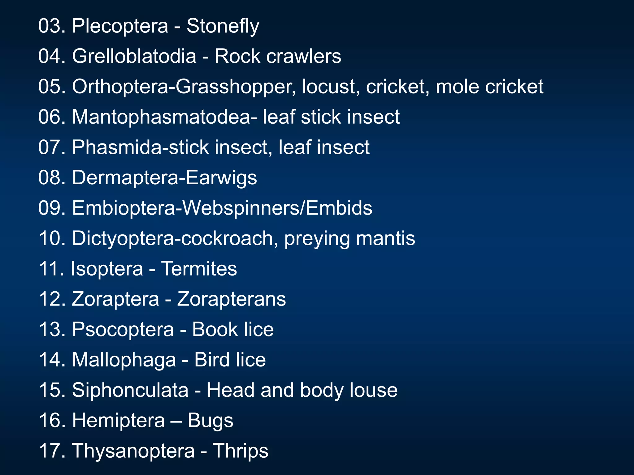 03. Plecoptera - Stonefly
04. Grelloblatodia - Rock crawlers
05. Orthoptera-Grasshopper, locust, cricket, mole cricket
06. Mantophasmatodea- leaf stick insect
07. Phasmida-stick insect, leaf insect
08. Dermaptera-Earwigs
09. Embioptera-Webspinners/Embids
10. Dictyoptera-cockroach, preying mantis
11. Isoptera - Termites
12. Zoraptera - Zorapterans
13. Psocoptera - Book lice
14. Mallophaga - Bird lice
15. Siphonculata - Head and body louse
16. Hemiptera – Bugs
17. Thysanoptera - Thrips
 