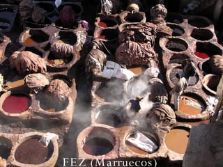 FEZ (Marruecos) 