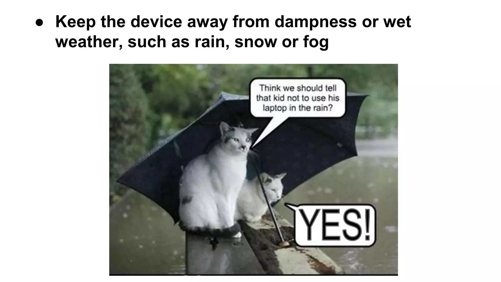 ● Keep the device away from dampness or wet
weather, such as rain, snow or fog
 