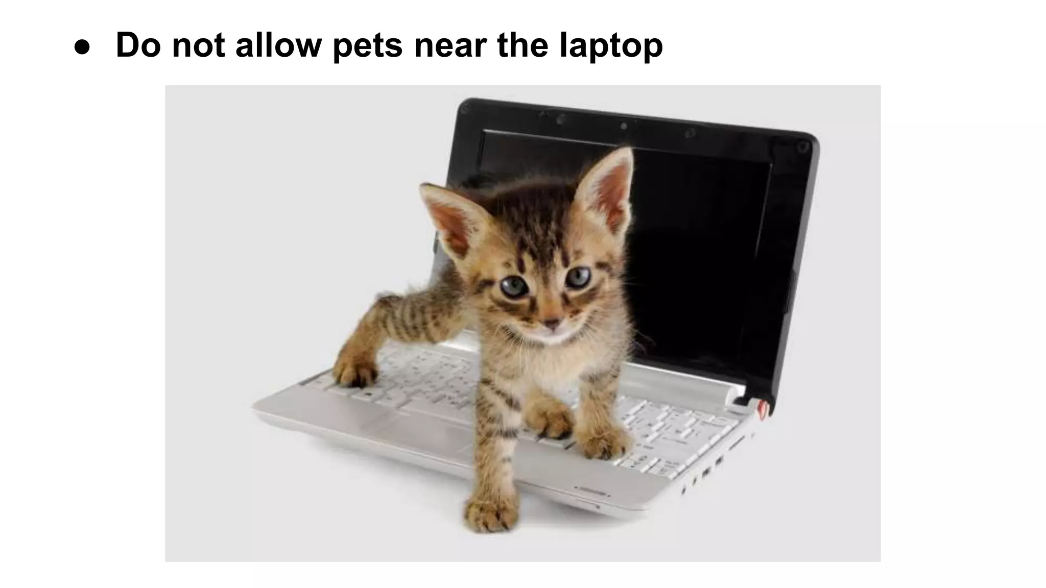 ● Do not allow pets near the laptop
 