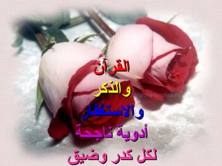 الوردة العاشرة  القرآن والذكر والاستغفار أدوية ناجحة لكل كدر وضيق 