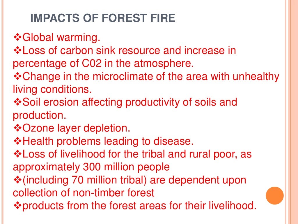 FOREST FIRE