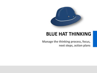 Manage the thinking process, focus,
next steps, action plans
BLUE HAT THINKING
 