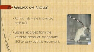 BCI Research On Animals:
 At first, rats were implanted
with BCI .
Signals recorded from the
cerebral cortex of rat operate
BCI to carry out the movement.
Brain-Computer Interface
 