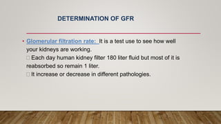 DETERMINATION OF GFR
• Glomerular filtration rate: It is a test use to see how well
your kidneys are working.
Each day human kidney filter 180 liter fluid but most of it is
reabsorbed so remain 1 liter.
It increase or decrease in different pathologies.
 