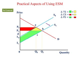 Practical Aspects of Using ESM
In General
Price
Quantity0
S0
S1
D
P0
P1
a
b
cd
I 0
I1
Q0 Q1
Δ TS = +
Δ CS = +
Δ PS = -
 