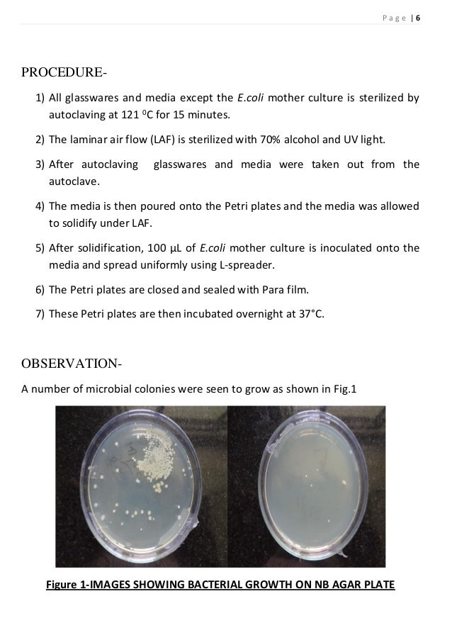 Report on microbial techniques & imaging