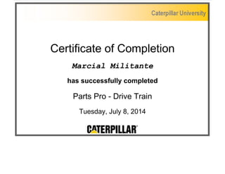 Certificate of Completion
Marcial Militante
has successfully completed
Parts Pro - Drive Train
Tuesday, July 8, 2014
 