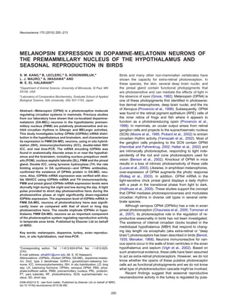 MELANOPSIN EXPRESSION IN DOPAMINE-MELATONIN NEURONS OF
THE PREMAMMILLARY NUCLEUS OF THE HYPOTHALAMUS AND
SEASONAL REPRODUCTION IN BIRDS
S. W. KANG,a
B. LECLERC,a
S. KOSONSIRILUK,a
L. J. MAURO,a
A. IWASAWAb
AND
M. E. EL HALAWANIa
*
a
Department of Animal Science, University of Minnesota, St Paul, MN
55108, USA
b
Laboratory of Comparative Biochemistry, Graduate School of Applied
Biological Science, Gifu University, Gifu 501-1193, Japan
Abstract—Melanopsin (OPN4) is a photoreceptive molecule
regulating circadian systems in mammals. Previous studies
from our laboratory have shown that co-localized dopamine-
melatonin (DA-MEL) neurons in the hypothalamic premam-
millary nucleus (PMM) are putatively photosensitive and ex-
hibit circadian rhythms in DAergic and MELergic activities.
This study investigates turkey OPN4x (tOPN4x) mRNA distri-
bution in the hypothalamus and brainstem, and characterizes
its expression in PMM DA-MEL neurons, using in situ hybrid-
ization (ISH), immunocytochemistry (ICC), double-label ISH/
ICC, and real time-PCR. The mRNA encoding tOPN4x was
found in anatomically discrete areas in or near the hypothal-
amus and the brainstem, including nucleus preopticus medi-
alis (POM), nucleus septalis lateralis (SL), PMM and the pineal
gland. Double ICC, using tyrosine hydroxylase (TH, the rate
limiting enzyme in DA synthesis)—and OPN4x antibodies,
conﬁrmed the existence of OPN4x protein in DA-MEL neu-
rons. Also, tOPN4x mRNA expression was veriﬁed with dou-
ble ISH/ICC using tOPN4x mRNA and TH immunoreactivity.
PMM and pineal gland tOPN4x mRNA expression levels were
diurnally high during the night and low during the day. A light
pulse provided to short day photosensitive hens during the
photosensitive phase at night signiﬁcantly down-regulated
tOPN4x expression. The expression level of tOPN4x mRNA in
PMM DA-MEL neurons of photorefractory hens was signiﬁ-
cantly lower as compared with that of short or long day
photosensitive hens. The results implicate tOPN4x in hypo-
thalamic PMM DA-MEL neurons as an important component
of the photoreceptive system regulating reproductive activity
in temperate zone birds. Published by Elsevier Ltd on behalf
of IBRO.
Key words: melanopsin, dopamine, turkey, avian reproduc-
tion, in situ hybridization, real time-PCR.
Birds and many other non-mammalian vertebrates have
shown the capacity for extra-retinal photoreception. In
these species, the skin, several deep brain nuclei, and
the pineal gland contain functional photopigments that
are photosensitive and can mediate the effects of light in
the absence of eyes (Groos, 1982). Melanopsin (OPN4) is
one of these photopigments ﬁrst identiﬁed in photosensi-
tive dermal melanophores, deep brain nuclei, and the iris
of Xenopus (Provencio et al., 1998). Subsequently, OPN4
was found in the retinal pigment epithelium (RPE) cells of
the inner retina of frogs and ﬁsh where it appears to
function as a phototransducing opsin (Provencio et al.,
1998). In mammals, an ocular output arises from retinal
ganglion cells and projects to the suprachiasmatic nucleus
(SCN) (Moore et al., 1995; Pickard et al., 2002) to entrain
circadian rhythm activity (Yamazaki et al., 2002). Most of
the ganglion cells projecting to the SCN contain OPN4
(Hannibal and Fahrenkrug, 2002; Hattar et al., 2002) and
are intrinsically photoreceptive, responding to light inde-
pendently of the rod and cone photoreceptors used for
vision (Berson et al., 2002). Knockout of OPN4 in mice
results in a loss of intrinsic photosensitivity of these cells
(Lucas et al., 2003). Likewise, in amphibian melanophores,
over-expression of OPN4 augments the photic response
(Rollag et al., 2003). In addition, OPN4 mRNA in the
light-sensitive chick pineal gland displays a daily rhythm
with a peak in the transitional phase from light to dark,
(Holthues et al., 2005). These studies support the concept
that OPN4 mediates photoresponsiveness and modulates
circadian rhythms in diverse cell types in several verte-
brate species.
Although xenopus OPN4 (OPN4x) has a role in avian
pineal photoreception (Chaurasia et al., 2005; Tomonari et
al., 2007), its photoreceptive role in the regulation of re-
productive seasonality in birds has not been investigated.
The existence of internal circadian clocks located in the
mediobasal hypothalamus (MBH) that respond to chang-
ing day length via encephalic (aka extra-retinal or “deep
brain”) photoreceptors has been described in birds (Benoit,
1935; Menaker, 1968). Neurons immunoreactive for vari-
ous opsins occur in the walls of brain ventricles in the avian
hypothalamus and septum (Vigh et al., 2002). Based on
such anatomical evidence, these cells have been assumed
to act as extra-retinal photoreceptors. However, we do not
know whether the opsins of these putative photoreceptor
cells act as functional photopigments and we do not know
what type of phototransduction cascade might be involved.
Recent ﬁndings suggest that seasonal reproductive
neuroendocrine activity in the turkey is regulated by puta-
*Corresponding author. Tel: ϩ1-612-624-9744; fax: ϩ1-612-625-
2743.
E-mail address: elhal001@umn.edu (M. E. El Halawani).
Abbreviations: cOPN4x, chicken OPN4x; DA-MEL, dopamine-melato-
nin; Dio2, type 2 deiodinase; GnRH-I, gonadotropin-releasing hor-
mone; ICC, immunocytochemistry; ISH, in situ hybridization; LD, long
day; LH, luteinizing hormone; OPN4x, xenopus OPN4; PBS, phos-
phate-buffered saline; PMM, premammillary nucleus; PRL, prolactin;
PT, pars tuberalis; RF, photorefractory; SCN, suprachiasmatic nu-
cleus; SD, short day.
Neuroscience 170 (2010) 200–213
0306-4522/10 $ - see front matter. Published by Elsevier Ltd on behalf of IBRO.
doi:10.1016/j.neuroscience.2010.06.082
200
 