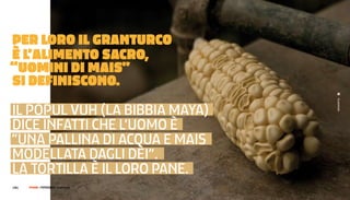 Per LOrO IL grANTurCO
è L’ALIMeNTO sACrO,
“uOMINI dI MAIs”
sI deFINIsCONO.




                                         Guatemala
iL POPuL VuH (LA BiBBiA MAyA)
DiCe iNFATTi CHe L’uOMO È
“uNA PALLiNA Di ACquA e MAis
MODeLLATA DAGLi DÈi”.
LA TORTiLLA È iL LORO PANe.
138 |   FF3300 | FotograFIa: guatemala
 