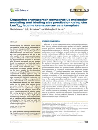 proteinsSTRUCTURE O FUNCTION O BIOINFORMATICS
Dopamine transporter comparative molecular
modeling and binding site prediction using the
LeuTAa leucine transporter as a template
Martı´n Indarte,1
* Jeffry D. Madura,2
* and Christopher K. Surratt1
*
1 Division of Pharmaceutical Sciences, Duquesne University, Pittsburgh, Pennsylvania 15282
2 Department of Chemistry and Biochemistry, Center for Computational Sciences, Duquesne University, Pittsburgh,
Pennsylvania 15282
INTRODUCTION
Addiction to cocaine, methamphetamine, and related psychostimu-
lants destroys millions of individuals, families, and careers, a societal
scourge worldwide. Although, addiction to heroin, oxycodone, fen-
tanyl, and other opiates can be effectively treated with buprenorphine
and to some extent methadone, no such medications are available to
combat psychostimulant addiction despite decades of research. Not
coincidentally, opioid receptor structure and mechanism of action are
much better understood than those of the brain receptors for psy-
chostimulant drugs of abuse, the monoamine neurotransmitter trans-
porter proteins. Pharmacologic and behavioral studies indicate that
the dopamine transporter (DAT) protein is the principal binding site
responsible for cocaine’s reward and reinforcement properties.1,2 The
plasma membrane-bound DAT protein quenches dopamine-mediated
neurotransmission by clearing the neurotransmitter from the synaptic
cleft following Ca21
-mediated exocytosis from presynaptic vesicles.
Cocaine, a DAT inhibitor, blocks synaptic uptake of dopamine; the
resultant accumulation of the neurotransmitter in the synapse leads
to an increase in postsynaptic dopamine D2 and D3 receptor activa-
tion in the nucleus accumbens and other brain regions associated
with addiction. Indeed, activation of these accumbal dopamine recep-
tors has been linked with the reinforcing properties of the drug.3,4
Amphetamine also increases synaptic dopamine levels, but by media-
ting dopamine efflux from the presynaptic cell via the DAT.5,6 Logi-
cally, an agent that blocks cocaine and amphetamine binding at the
DAT without substantially interfering with dopamine uptake should
serve as an effective antiaddiction therapeutic. High resolution eluci-
dation of the DAT structure, especially regarding its substrate and in-
hibitor recognition sites, is thus critical.
The Supplementary Material referred to in this article can be found online at http://www.
interscience.wiley.com/jpages/0887-3585/suppmat.
Grant sponsor: NIDA; Grant number: DA016604; Grant sponsor: Samuel and Emma Winters;
Grant sponsor: DOE; Grant numbers: P116Z040100, P116Z050331.
*Correspondence to: Dr. Christopher K. Surratt, Division of Pharmaceutical Sciences, Duquesne
University, Mellon Hall, Room 453, 600 Forbes Avenue, Pittsburgh, PA 15282.
E-mail: surratt@duq.edu or Martin Indarte, E-mail: indartem@duq.edu or Jeffry D. Madura,
E-mail: madura@duq.edu
Received 11 September 2006; Revised 16 March 2007; Accepted 16 April 2007
Published online 10 September 2007 in Wiley InterScience (www.interscience.wiley.com).
DOI: 10.1002/prot.21598
ABSTRACT
Pharmacological and behavioral studies indicate
that binding of cocaine and the amphetamines by
the dopamine transporter (DAT) protein is prin-
cipally responsible for initiating the euphoria and
addiction associated with these drugs. The lack of
an X-ray crystal structure for the DAT or any
other member of the neurotransmitter:sodium
symporter (NSS) family has hindered understand-
ing of psychostimulant recognition at the atomic
level; structural information has been obtained
largely from mutagenesis and biophysical studies.
The recent publication of a crystal structure for
the bacterial leucine transporter LeuTAa , a dis-
tantly related NSS family homolog, provides for
the first time a template for three-dimensional
comparative modeling of NSS proteins. A novel
computational modeling approach using the
capabilities of the Molecular Operating Environ-
ment program MOE 2005.06 in conjunction with
other comparative modeling servers generated the
LeuTAa-directed DAT model. Probable dopamine
and amphetamine binding sites were identified
within the DAT model using multiple docking
approaches. Binding sites for the substrate
ligands (dopamine and amphetamine) overlapped
substantially with the analogous region of the
LeuTAa crystal structure for the substrate leucine.
The docking predictions implicated DAT side
chains known to be critical for high affinity
ligand binding and suggest novel mutagenesis tar-
gets in elucidating discrete substrate and inhibi-
tor binding sites. The DAT model may guide DAT
ligand QSAR studies, and rational design of novel
DAT-binding therapeutics.
Proteins 2008; 70:1033–1046.
VVC 2007 Wiley-Liss, Inc.
Key words: homology; comparative modeling; dock-
ing; drug; pharmacophore; medication; therapeutic;
cocaine; psychostimulant; antagonist; addiction.
VVC 2007 WILEY-LISS, INC. PROTEINS 1033
 