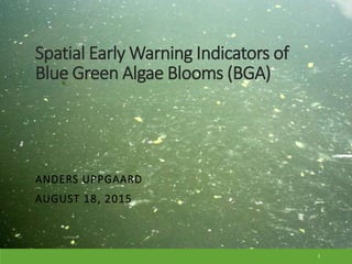 Spatial Early Warning Indicators of
Blue Green Algae Blooms (BGA)
ANDERS UPPGAARD
AUGUST 18, 2015
1
 