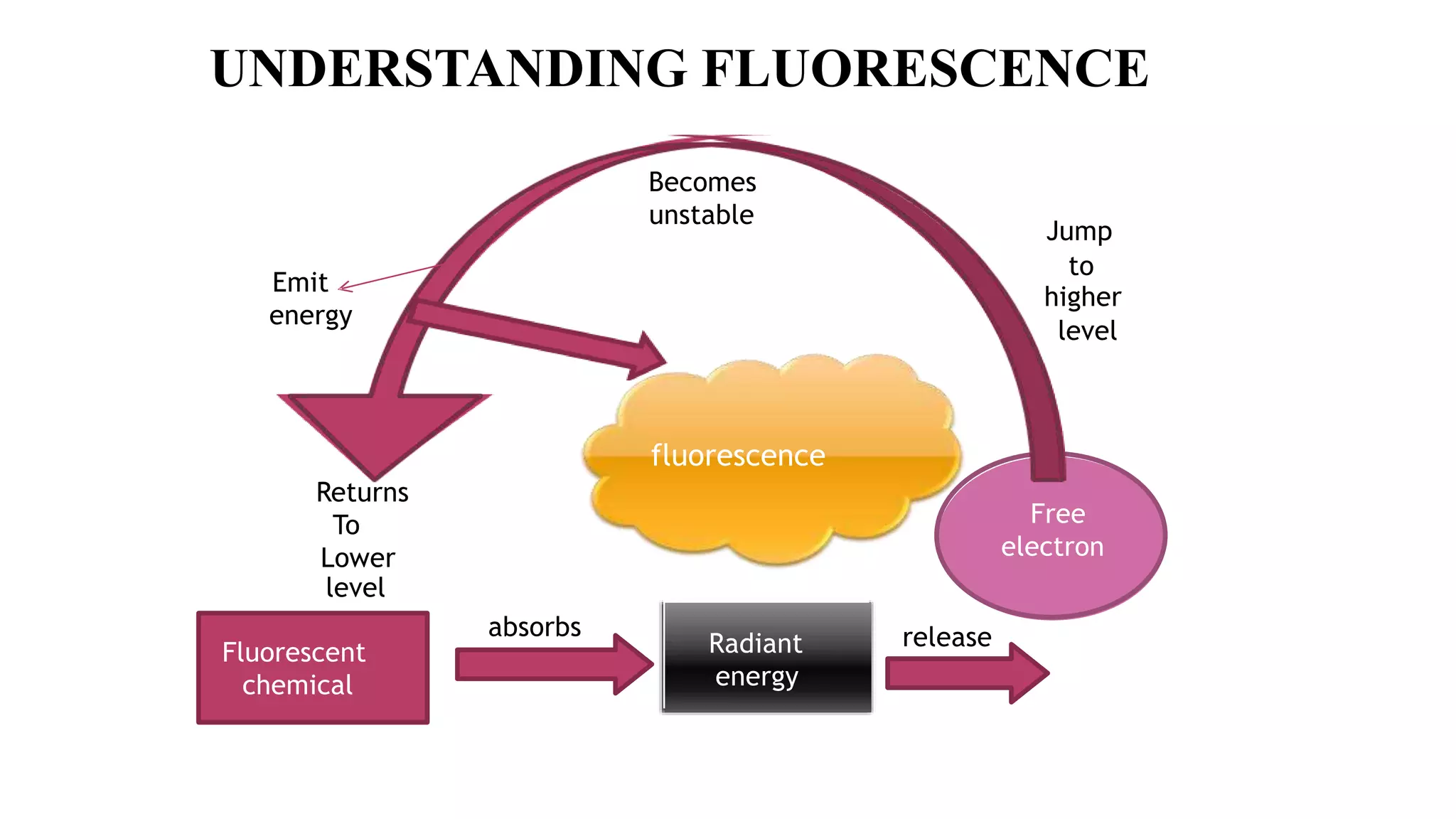Fluorescent
chemical
absorbs
Radiant
energy
release
Free
electron
Jump
to
higher
level
Becomes
unstable
Returns
To
Lower
level
Emit
energy
fluorescence
UNDERSTANDING FLUORESCENCE
 