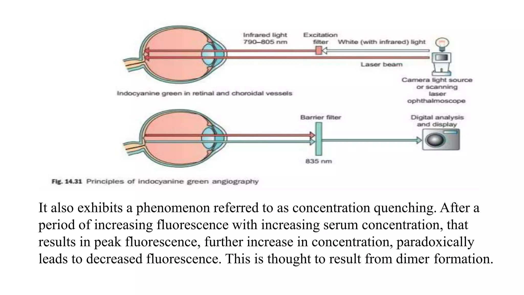 It also exhibits a phenomenon referred to as concentration quenching. After a
period of increasing fluorescence with increasing serum concentration, that
results in peak fluorescence, further increase in concentration, paradoxically
leads to decreased fluorescence. This is thought to result from dimer formation.
 
