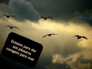 Existem para dar aos pássaros coragem para voar