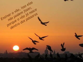 Ensinar o vôo, isso elas não podem fazer, porque o vôo já nasce dentro dos pássaros