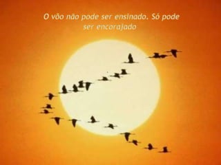 O vôo não pode ser ensinado. Só pode ser encorajado