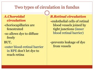 Two types of circulation in fundus
A.Choroidal
circulation
-choriocapillaries are
fenestrated
-so allows dye to diffuse
freely
BUT,
-outer blood-retinal barrier
in RPE don’t let dye to
reach retina
B.Retinal circulation
-endothelial cells of retinal
blood vessels joined by
tight junctions (inner
blood retinal barrier)
-prevents leakage of dye
from vessels
 