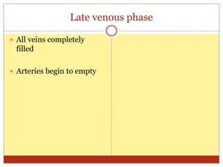 Late venous phase
 All veins completely
filled
 Arteries begin to empty
 