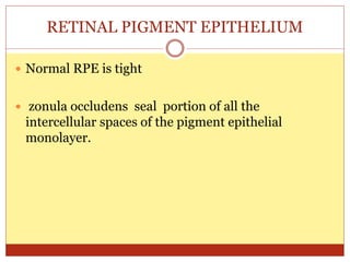 RETINAL PIGMENT EPITHELIUM
 Normal RPE is tight
 zonula occludens seal portion of all the
intercellular spaces of the pigment epithelial
monolayer.
 