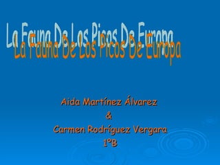 Aida Martínez Álvarez  &  Carmen Rodríguez Vergara 1ºB La Fauna De Los Picos De Europa 