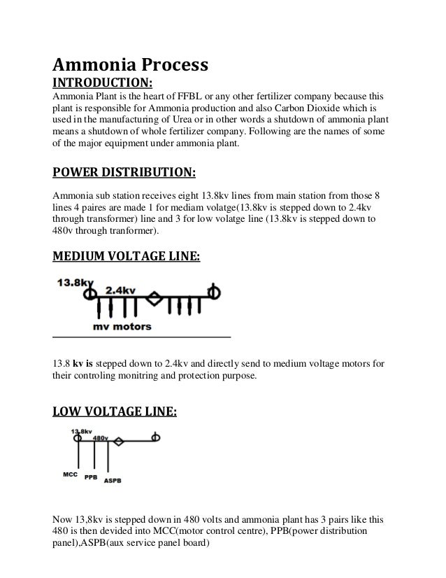 ffbl internship report other words for internship