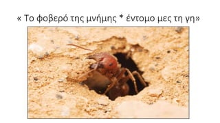 « Το φοβερό της μνήμης * έντομο μες τη γη»
 