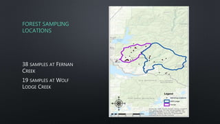 FOREST SAMPLING
LOCATIONS
38 SAMPLES AT FERNAN
CREEK
19 SAMPLES AT WOLF
LODGE CREEK
 