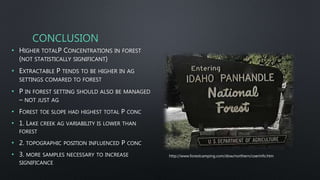CONCLUSION
• HIGHER TOTALP CONCENTRATIONS IN FOREST
(NOT STATISTICALLY SIGNIFICANT)
• EXTRACTABLE P TENDS TO BE HIGHER IN AG
SETTINGS COMARED TO FOREST
• P IN FOREST SETTING SHOULD ALSO BE MANAGED
– NOT JUST AG
• FOREST TOE SLOPE HAD HIGHEST TOTAL P CONC
• 1. LAKE CREEK AG VARIABILITY IS LOWER THAN
FOREST
• 2. TOPOGRAPHIC POSITION INFLUENCED P CONC
• 3. MORE SAMPLES NECESSARY TO INCREASE
SIGNIFICANCE
http://www.forestcamping.com/dow/northern/coerinfo.htm
 