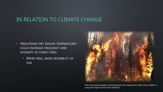 IN RELATION TO CLIMATE CHANGE
• HEIGHTENED DRY SEASON TEMPERATURES
COULD INCREASE FREQUENCY AND
INTENSITY OF FOREST FIRES
• MORE FIRES, MORE ERODIBILITY OF
SOIL
http://www.boiseweekly.com/boise/austin-fire-department-tells-boise-wildfire-is-
everyones-fight/Content?oid=3466162
 