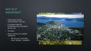 WHY IS IT
IMPORTANT?
• UNPOTABLE WATER,
CARCINOGENS, FISH KILL
• CYANOBACTERIA &
EUTROPHICATION RESTRICTS
WATER USE
• TOURISM
• HEAVY METALS IN LAKEBED
SEDIMENTS
• 83 MILLION TONS ZINC,
LEAD, ARSENIC, CADMIUM
 