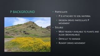 P BACKGROUND • PARTICULATE
• P IS ATTACHED TO SOIL MATERIAL
• EROSION DRIVES PARTICULATE P
MOVEMENT
• SOLUBLE
• MOST READILY AVAILABLE TO PLANTS AND
ALGAE (BIOAVAILABLE)
• DIFFICULT TO MANAGE
• RUNOFF DRIVES MOVEMENT
 