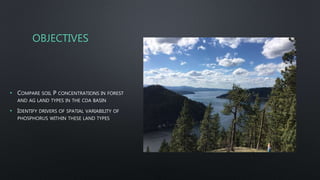 OBJECTIVES
• COMPARE SOIL P CONCENTRATIONS IN FOREST
AND AG LAND TYPES IN THE CDA BASIN
• IDENTIFY DRIVERS OF SPATIAL VARIABILITY OF
PHOSPHORUS WITHIN THESE LAND TYPES
 