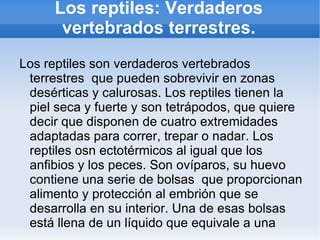 Los órganos de los sentidos se localizan fundamentalmente en la cabeza. 
