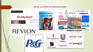 Marcas que utilizan animales para pruebas
 