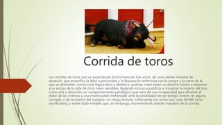 Corrida de toros
Las corridas de toros son un espectáculo bochornoso en tres actos, de unos veinte minutos de
duración, que escenifica la falsa superioridad y la fascinación enfermiza con la sangre y la carne de la
que se alimentan, contra toda lógica ética y dietética, quienes creen tener un derecho divino a disponer
a su antojo de la vida de otros seres sensibles, llegando incluso a justificar y trivializar la muerte del toro
como arte y diversión; un comportamiento patológico que nace de una incapacidad para afrontar el
dolor de las víctimas y una morbosidad irrefrenable ante la posibilidad de ser testigo directo de alguna
cornada, o de la muerte del matador; un riesgo fortuito, infrecuente (un torero por cada 40.000 toros
sacrificados), y sobre todo evitable que, sin embargo, incrementa el carácter macabro de la corrida.
 