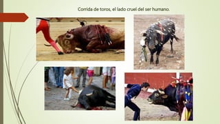 Corrida de toros, el lado cruel del ser humano.
 